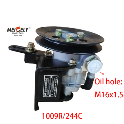 1009R/244C JAC Foton Dongfeng Yunnei Pump sterujący
