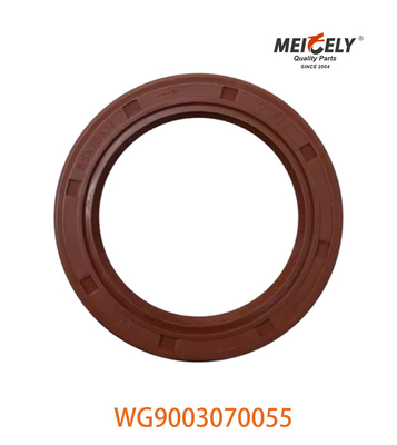 WG9003070055 uszczelniacz oleju PS55X75X12 nadaje się do SINOTRUK CNHTC HOWO