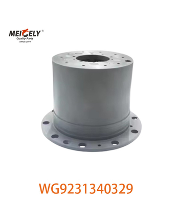 Oryginalny WG9231340329 Planetary Assembly Picture Display For SINOTRUK HOWO Model samochodu