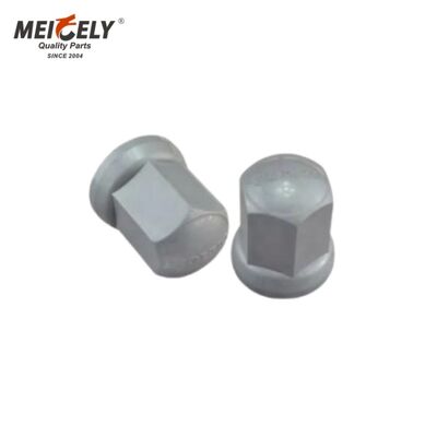 7424424790 Pokrycie orzecha kołowego klasy OEM