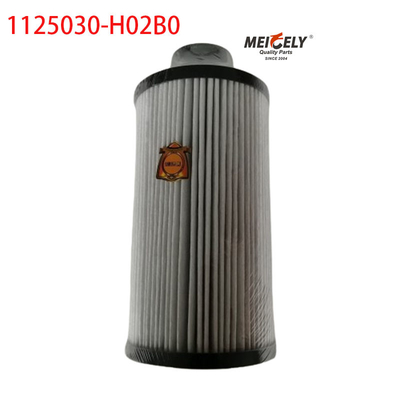 1125030-H02B0 Części samochodowe Filtr paliwowy dla Dongfeng Tianlong