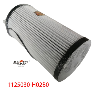 1125030-H02B0 Części samochodowe Filtr paliwowy dla Dongfeng Tianlong