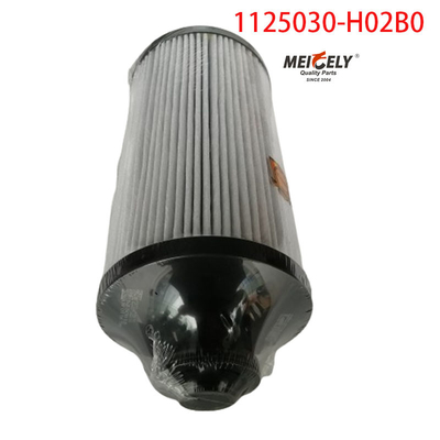 1125030-H02B0 Części samochodowe Filtr paliwowy dla Dongfeng Tianlong