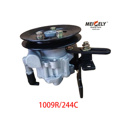 1009R/244C JAC Foton Dongfeng Yunnei Pump sterujący