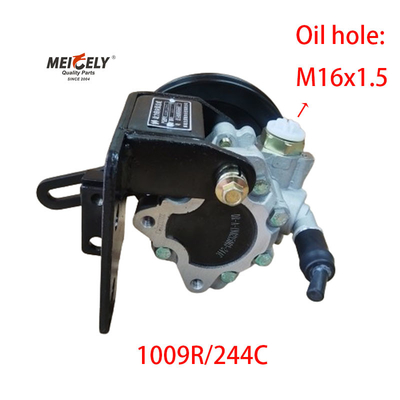 1009R/244C JAC Foton Dongfeng Yunnei Pump sterujący