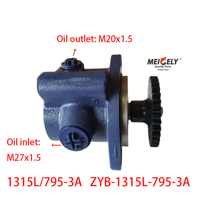 Gorąca sprzedaż Hyundai Power Steering Pump Fuso 1315L/795-3A