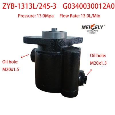 FOTON Auman G0340030012A0 Xichai Części silnika Pumpy sterujące