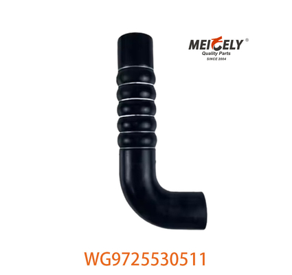 Genuine WG9719530236 Części samochodowe do wyciągu chłodnicy dla Sinotruk HOWO