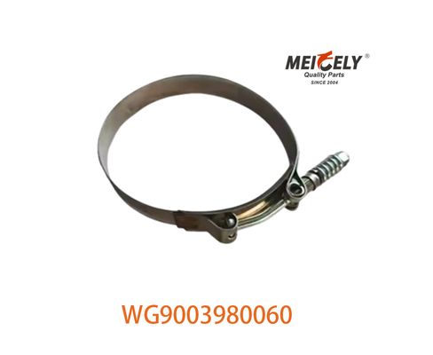 OEM WG9003980060 Mocny zacisk węża dla SINOTRUK HOWO