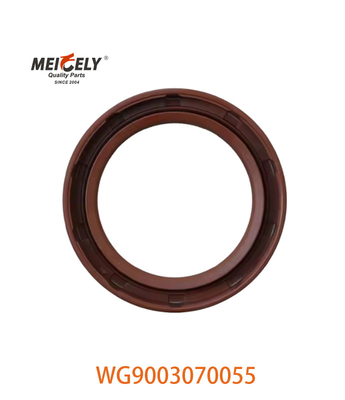 WG9003070055 uszczelniacz oleju PS55X75X12 nadaje się do SINOTRUK CNHTC HOWO