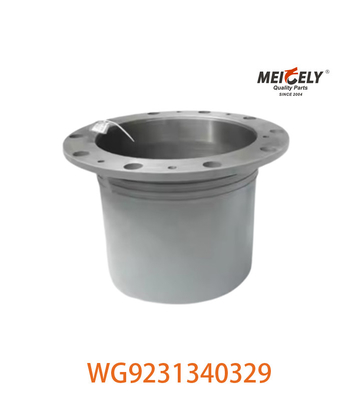 Oryginalny WG9231340329 Planetary Assembly Picture Display For SINOTRUK HOWO Model samochodu