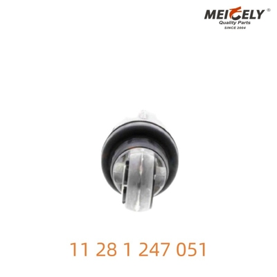 Pociąg napędowy na pasie, klasy 11 28 1 247 051 wyprodukowany wyłącznie dla BMW